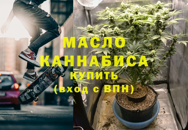 дмт Каменка